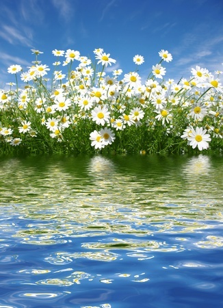 Their Soul and Heart