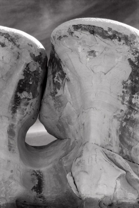 An oldie but a goodie, shot on film and processed in my darkroom.