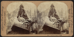 11454653505_511d819172_z