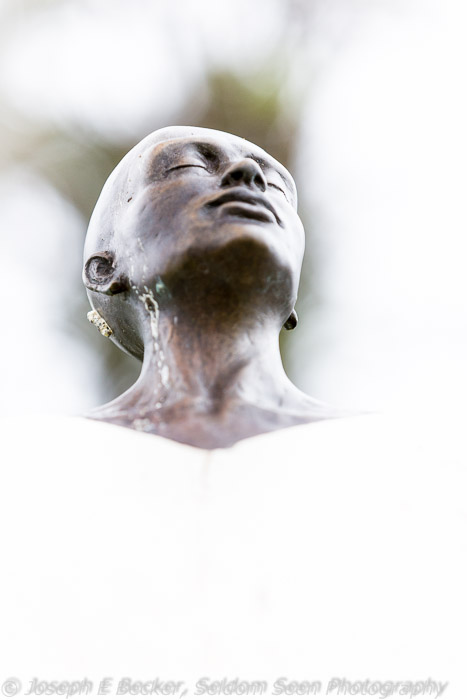 "Silent Words III" by Llyod Whannell