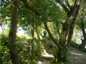 PENTAX Digital Camera