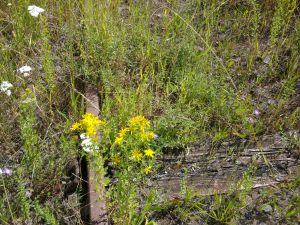 PENTAX Digital Camera