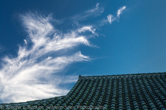 Point Defiance detail shot 2