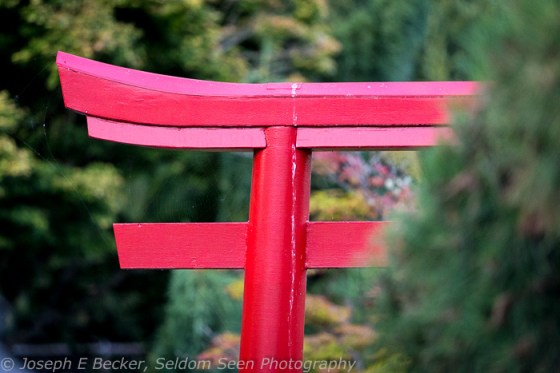 Point Defiance detail shot 4