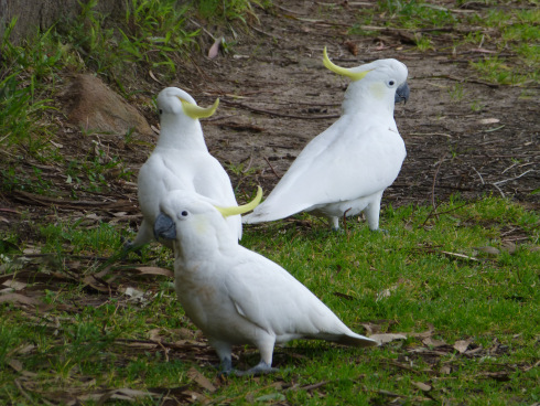 2013_1021imagefacebook0153