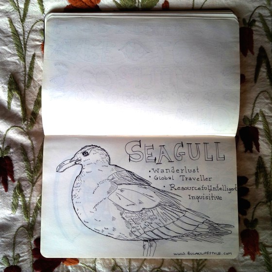 sketch of seagull