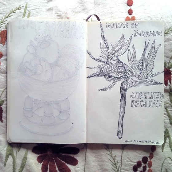 IMG_20140716_161746_edit_edit_edit