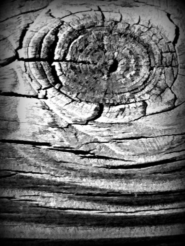 knot on bridge