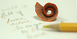 five things a poet shouldn't do