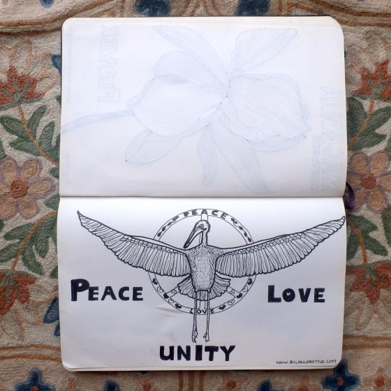 Peter the Peace Loving Pelican