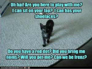 Questions Questions Questions