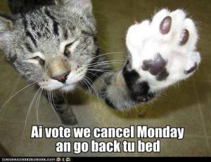 Ai Vote We Cancel Monday