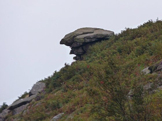 harvest being 2014 117