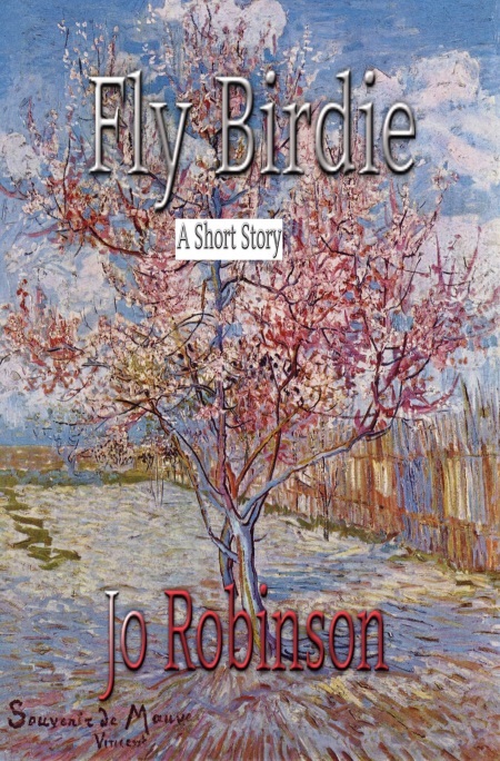 Test Fly Birdie 6.25 9.5 size (2)