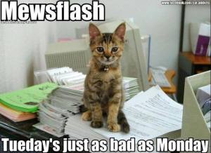 Tuesday's Just as Bad as Monday