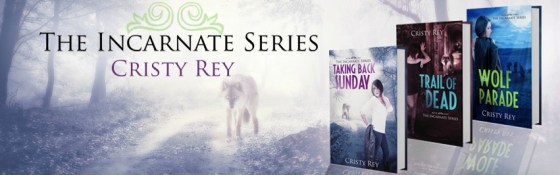 TheIncarnateSeries-FB-1