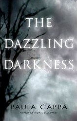 the_dazzling_darkness.jpg