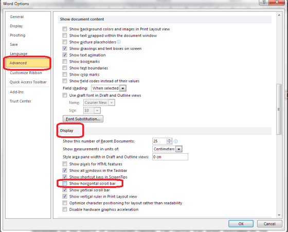 Word Options - advanced - display