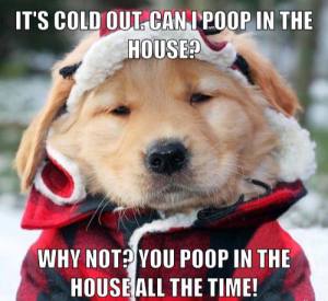 10419596_10152970115182731_6958040338785138786_n