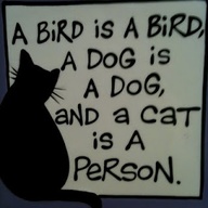 A Cat is a Person