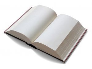 blankbook