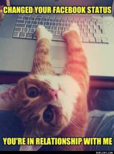 Changed Your Facebook Status