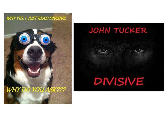 dog and divisive