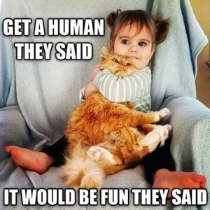 Get a Human They Said