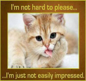 I'm Not Hard to Please