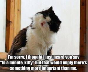 There's Something More Important Than Me