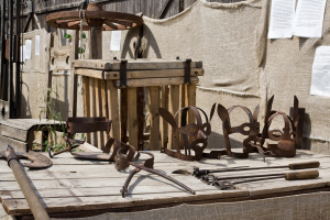 Image credit: Bondarenko