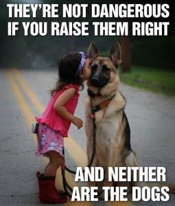 1559312_822059421200243_4993617712372112102_o