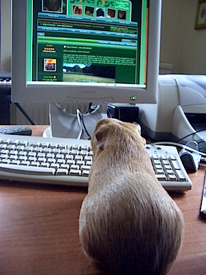 CIMG3853-e1423832201906