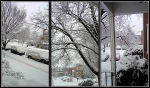 2015 March snow triptic