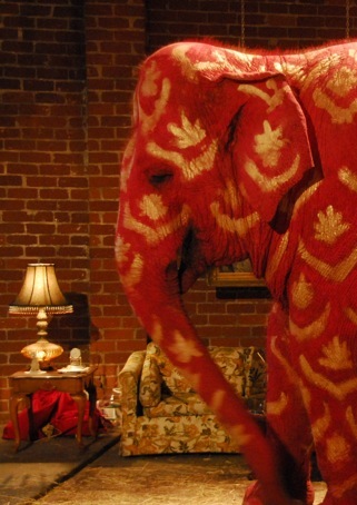 246805948_c436365936_o