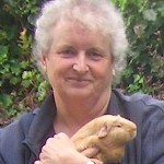 f545c85c8aedaee6bd788acc52d5b80a