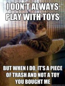 I Don't Always Play With Toys