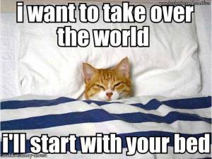 I Want To Take Over the World