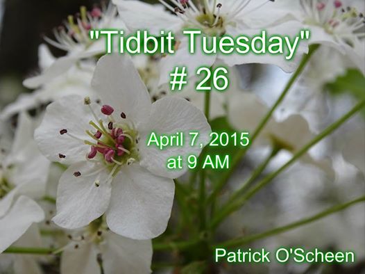 11131747_1076463522370959_4765405417439570971_n