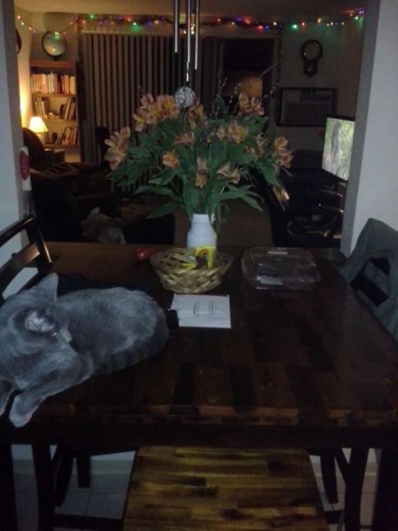 flower premonition (2)