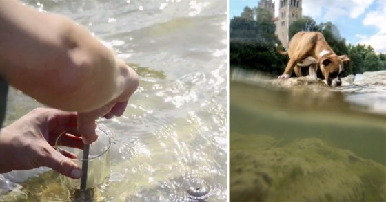 photography-hacks-for-your-smartphone