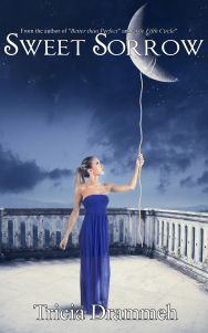 SweetSorrowebook (5)