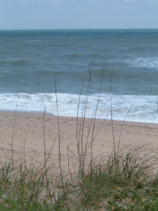 Canaveral National Seashore, New Smyrna  Beach, Florida