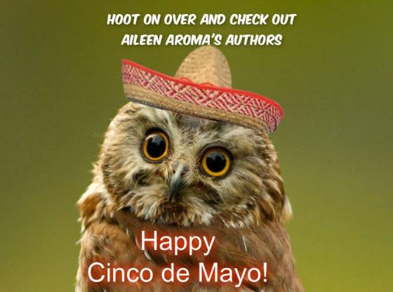 hoot cindo de mayo