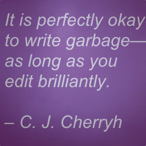 joys of writing a novel