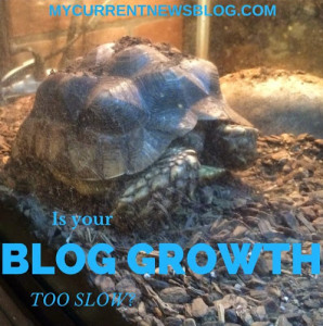 Get new traffic from blog directories