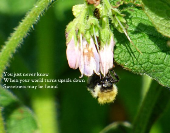 You just never know When your world turns upside down Sweetness may be found