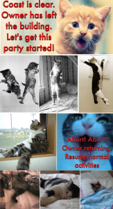 Get This Party Started