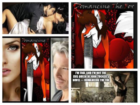 romancing the fox collage