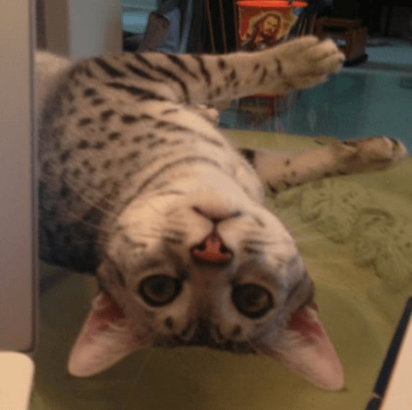 Screen Shot 2015-02-23 at 5.35.06 PM